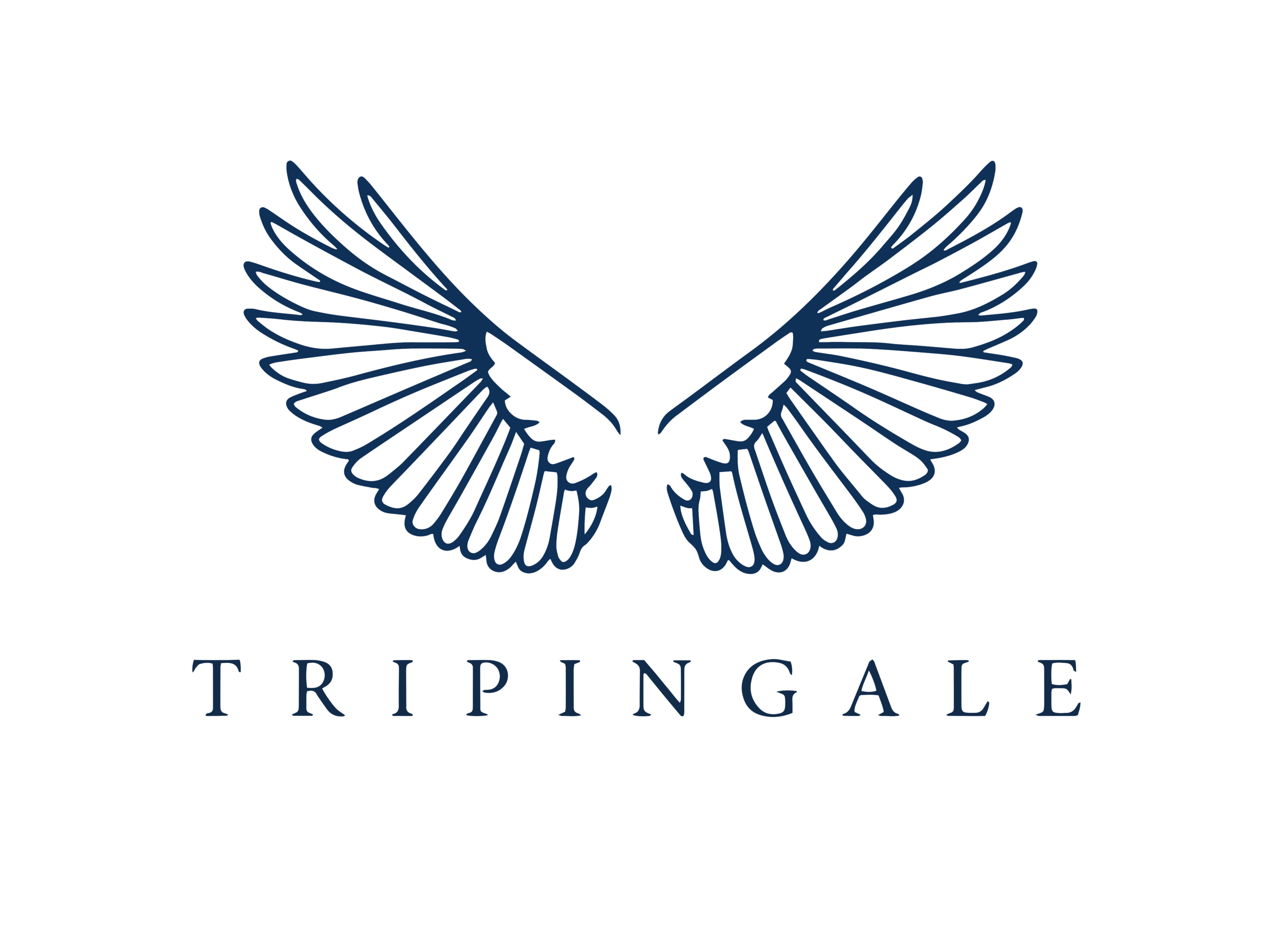 tripingale.pk
